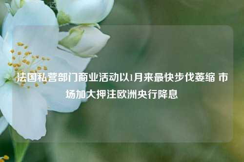 法国私营部门商业活动以1月来最快步伐萎缩 市场加大押注欧洲央行降息-第1张图片-车辆报废_报废车厂_报废汽车回收_北京报废车-「北京报废汽车解体中心」