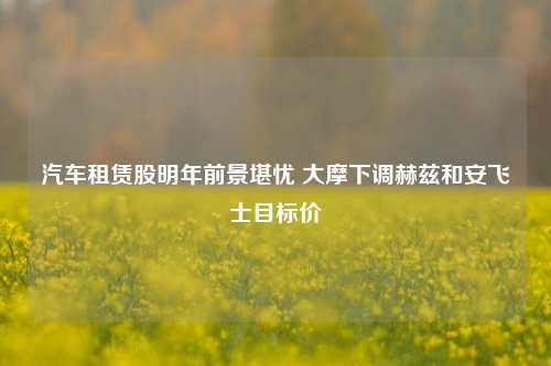 汽车租赁股明年前景堪忧 大摩下调赫兹和安飞士目标价-第1张图片-车辆报废_报废车厂_报废汽车回收_北京报废车-「北京报废汽车解体中心」