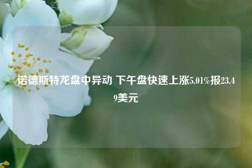 诺德斯特龙盘中异动 下午盘快速上涨5.01%报23.49美元-第1张图片-车辆报废_报废车厂_报废汽车回收_北京报废车-「北京报废汽车解体中心」