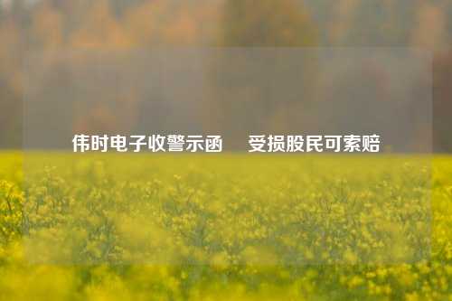 伟时电子收警示函  受损股民可索赔-第1张图片-车辆报废_报废车厂_报废汽车回收_北京报废车-「北京报废汽车解体中心」