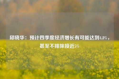 邱晓华：预计四季度经济增长有可能达到4.8%，甚至不排除接近5%-第1张图片-车辆报废_报废车厂_报废汽车回收_北京报废车-「北京报废汽车解体中心」