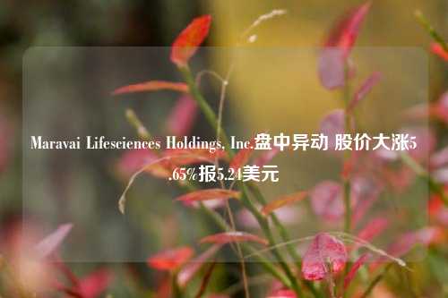 Maravai Lifesciences Holdings, Inc.盘中异动 股价大涨5.65%报5.24美元-第1张图片-车辆报废_报废车厂_报废汽车回收_北京报废车-「北京报废汽车解体中心」