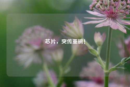 芯片，突传重磅！-第1张图片-车辆报废_报废车厂_报废汽车回收_北京报废车-「北京报废汽车解体中心」