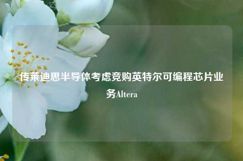 传莱迪思半导体考虑竞购英特尔可编程芯片业务Altera-第1张图片-车辆报废_报废车厂_报废汽车回收_北京报废车-「北京报废汽车解体中心」