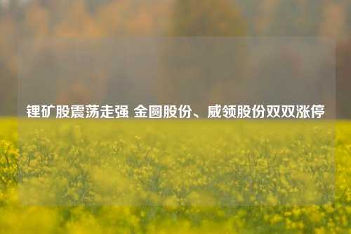 锂矿股震荡走强 金圆股份、威领股份双双涨停-第1张图片-车辆报废_报废车厂_报废汽车回收_北京报废车-「北京报废汽车解体中心」