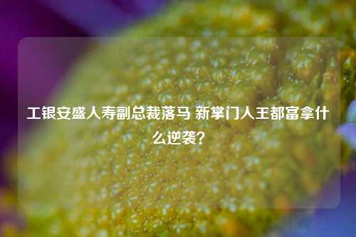 工银安盛人寿副总裁落马 新掌门人王都富拿什么逆袭？-第1张图片-车辆报废_报废车厂_报废汽车回收_北京报废车-「北京报废汽车解体中心」