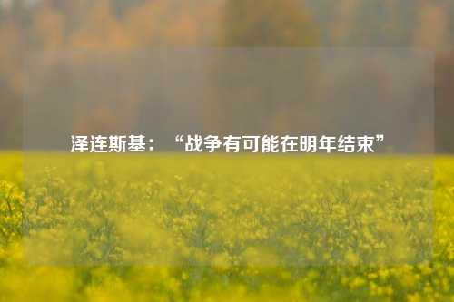 泽连斯基：“战争有可能在明年结束”-第1张图片-车辆报废_报废车厂_报废汽车回收_北京报废车-「北京报废汽车解体中心」