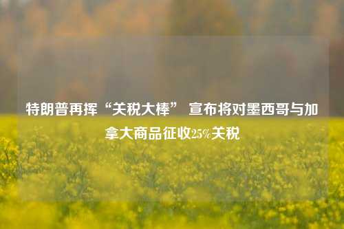 特朗普再挥“关税大棒” 宣布将对墨西哥与加拿大商品征收25%关税-第1张图片-车辆报废_报废车厂_报废汽车回收_北京报废车-「北京报废汽车解体中心」