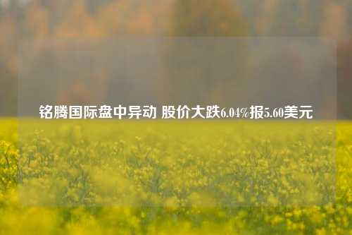 铭腾国际盘中异动 股价大跌6.04%报5.60美元-第1张图片-车辆报废_报废车厂_报废汽车回收_北京报废车-「北京报废汽车解体中心」