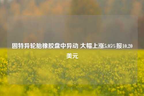 固特异轮胎橡胶盘中异动 大幅上涨5.05%报10.20美元-第1张图片-车辆报废_报废车厂_报废汽车回收_北京报废车-「北京报废汽车解体中心」