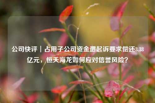 公司快评︱占用子公司资金遭起诉要求偿还3.38亿元，恒天海龙如何应对信誉风险？-第1张图片-车辆报废_报废车厂_报废汽车回收_北京报废车-「北京报废汽车解体中心」