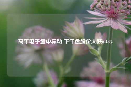 高平电子盘中异动 下午盘股价大跌6.48%-第1张图片-车辆报废_报废车厂_报废汽车回收_北京报废车-「北京报废汽车解体中心」