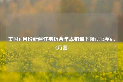 美国10月份新建住宅折合年率销量下降17.3%至61.0万套-第1张图片-车辆报废_报废车厂_报废汽车回收_北京报废车-「北京报废汽车解体中心」