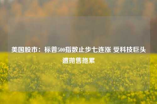 美国股市：标普500指数止步七连涨 受科技巨头遭抛售拖累-第1张图片-车辆报废_报废车厂_报废汽车回收_北京报废车-「北京报废汽车解体中心」