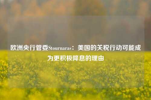 欧洲央行管委Stournaras：美国的关税行动可能成为更积极降息的理由-第1张图片-车辆报废_报废车厂_报废汽车回收_北京报废车-「北京报废汽车解体中心」