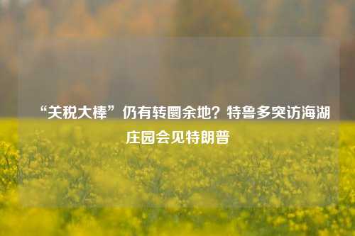 “关税大棒”仍有转圜余地？特鲁多突访海湖庄园会见特朗普-第1张图片-车辆报废_报废车厂_报废汽车回收_北京报废车-「北京报废汽车解体中心」