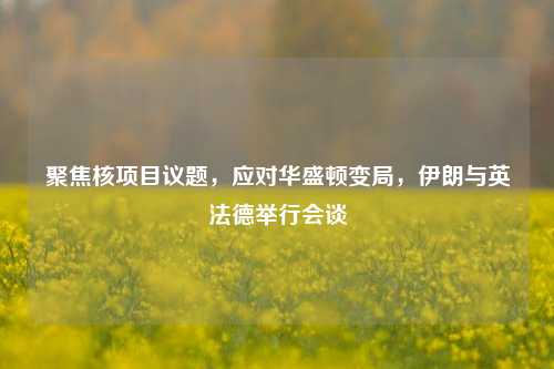 聚焦核项目议题，应对华盛顿变局，伊朗与英法德举行会谈-第1张图片-车辆报废_报废车厂_报废汽车回收_北京报废车-「北京报废汽车解体中心」