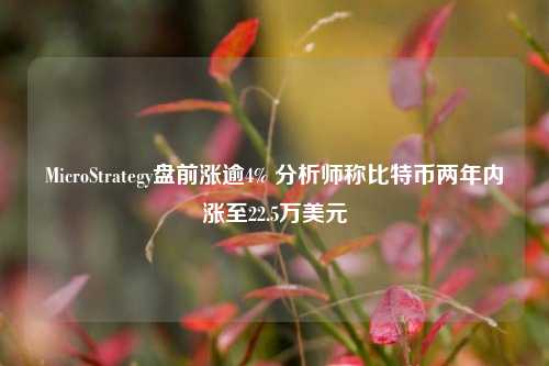 MicroStrategy盘前涨逾4% 分析师称比特币两年内涨至22.5万美元-第1张图片-车辆报废_报废车厂_报废汽车回收_北京报废车-「北京报废汽车解体中心」