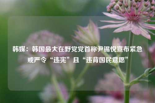 韩媒：韩国最大在野党党首称尹锡悦宣布紧急戒严令“违宪”且“违背国民意愿”-第1张图片-车辆报废_报废车厂_报废汽车回收_北京报废车-「北京报废汽车解体中心」