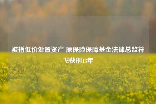 被指低价处置资产 原保险保障基金法律总监符飞获刑13年-第1张图片-车辆报废_报废车厂_报废汽车回收_北京报废车-「北京报废汽车解体中心」