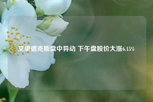 艾里德克斯盘中异动 下午盘股价大涨6.15%-第1张图片-车辆报废_报废车厂_报废汽车回收_北京报废车-「北京报废汽车解体中心」