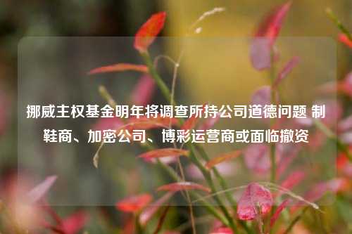 挪威主权基金明年将调查所持公司道德问题 制鞋商、加密公司、博彩运营商或面临撤资-第1张图片-车辆报废_报废车厂_报废汽车回收_北京报废车-「北京报废汽车解体中心」