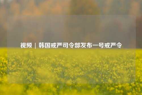 视频 | 韩国戒严司令部发布一号戒严令-第1张图片-车辆报废_报废车厂_报废汽车回收_北京报废车-「北京报废汽车解体中心」