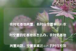 农村宅基地闲置，有村庄空置率43.8%农村空置的宅基地该怎么办，农村宅基地闲置问题，空置率高达43.8%的村庄应如何处理？-第1张图片-车辆报废_报废车厂_报废汽车回收_北京报废车-「北京报废汽车解体中心」