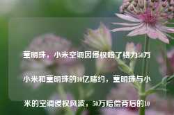 董明珠，小米空调因侵权赔了格力50万小米和董明珠的10亿赌约，董明珠与小米的空调侵权风波，50万赔偿背后的10亿赌约-第1张图片-车辆报废_报废车厂_报废汽车回收_北京报废车-「北京报废汽车解体中心」